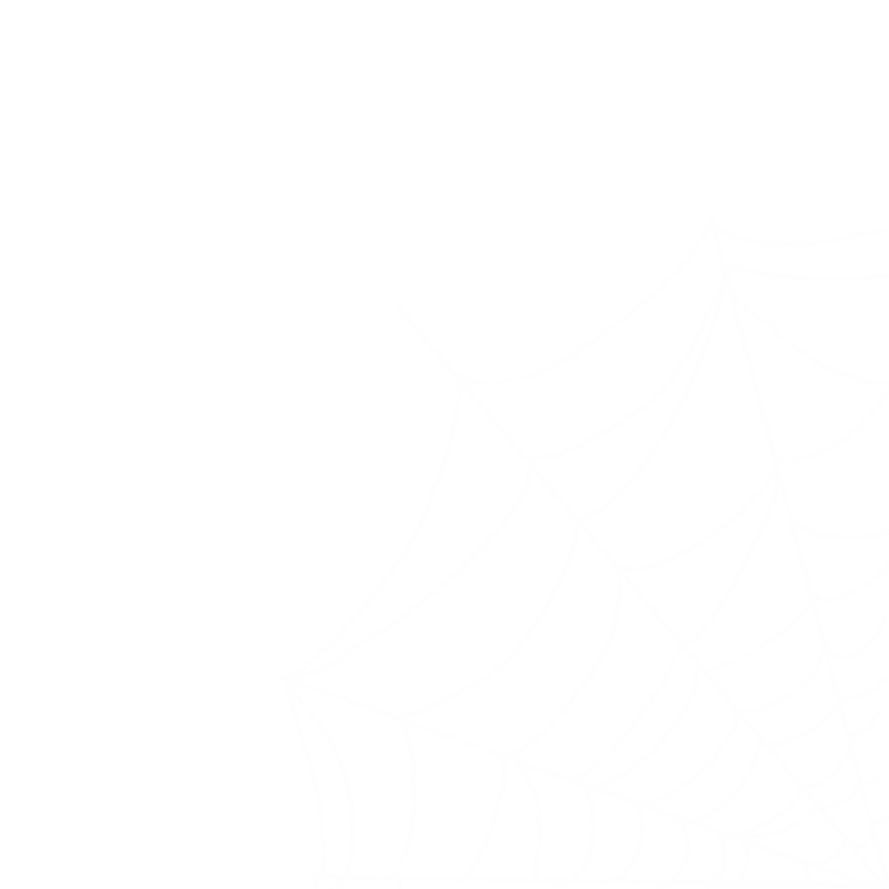 a spiderweb